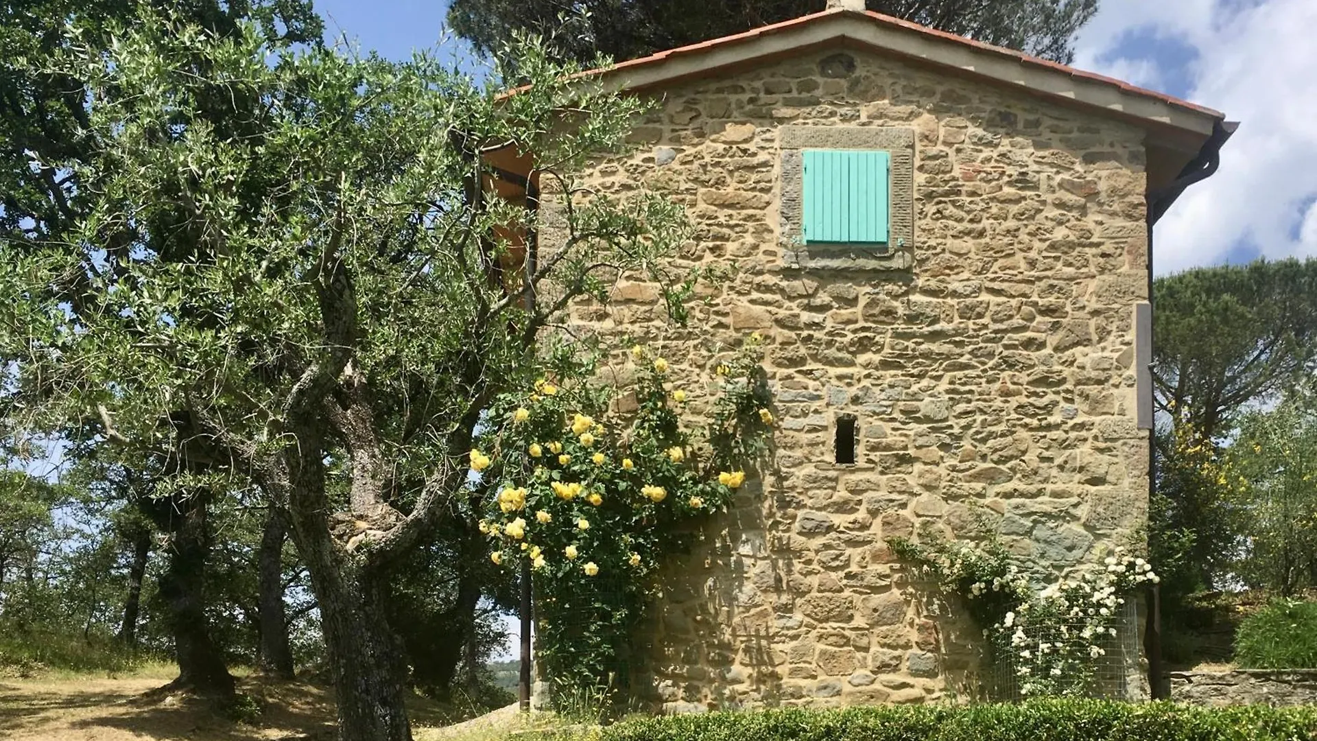 Poggio Corsucci Διαμέρισμα Loro Ciuffenna