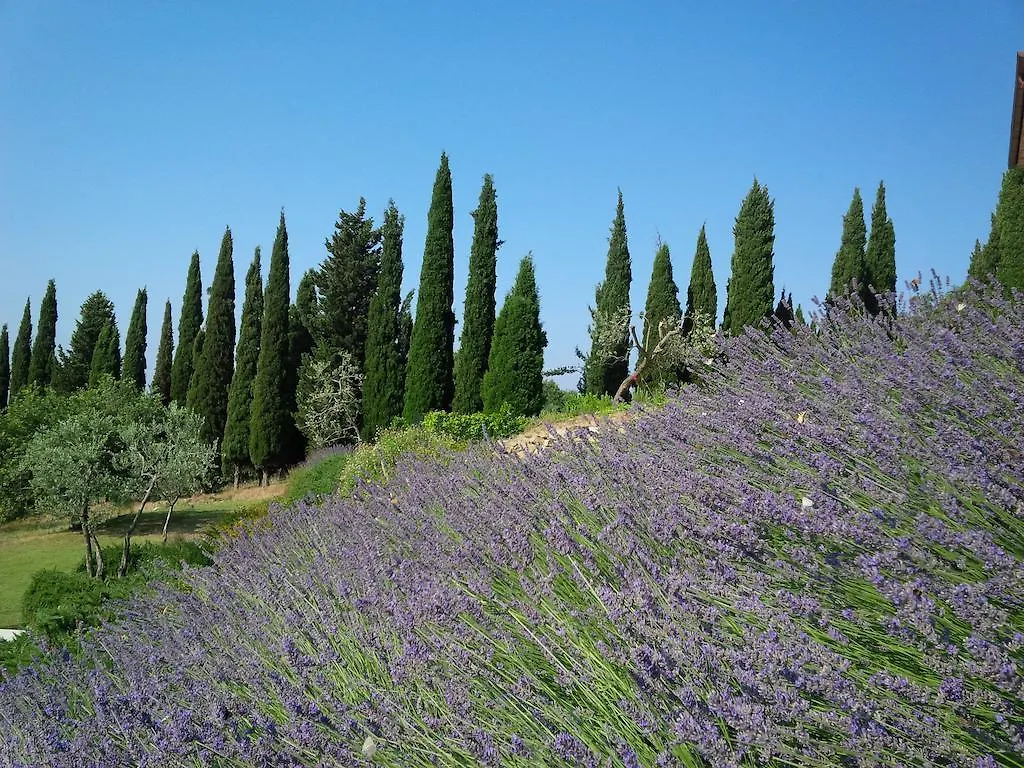 Poggio Corsucci Διαμέρισμα Loro Ciuffenna 0*,  Ιταλία